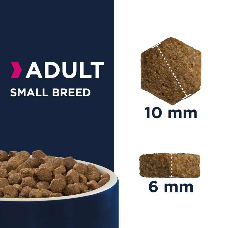 Eukanuba Adult Small Breed Poulet 15kg+ Surprise Gratuite Pour Chien 4 Eukanuba Adult Small Breed Poulet 15kg+ Surprise Gratuite Pour Chien – Image 4