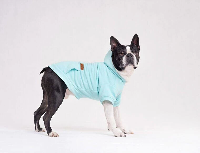 AMIPLAY Sweat-shirt à Capuche Texas Rouge 35cm 3 AMIPLAY Sweat-shirt à Capuche Texas Rouge 35cm – Image 3