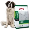 ARION Original Adult Giant Breed Poulet & Riz 12kg + Surprise Gratuite Pour Chien