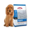 ARION Original Puppy Medium Breed Saumon Et Riz 12kg+ Surprise Gratuit Pour Votre Chien