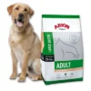 Arion Original Adulte Grandes Races Saumon & Riz 12kg