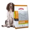 Arion Original Senior Medium Poulet Et Riz 12kg