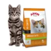 Arion Original Chat Urinaire 34/13 Saumon 7,5kg