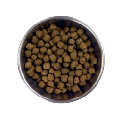Barking Heads Bœuf Waggington Pour Tous Les Chiens Adultes 12kg -Zooart Elegant Boutique fre pl Barking Heads Boeuf Waggington pour tous les chiens adultes 12kg 28633 3