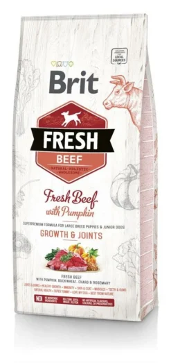 Brit Fresh Beef & Pumpkin Puppy Large Growth & Joints 12kg X2