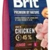 Brit Premium By Nature Junior L Au Poulet 15kg X2