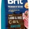 Brit Premium By Nature Sensitive Avec Agneau Et Riz 15kg + Surprise Gratuite Pour Chien