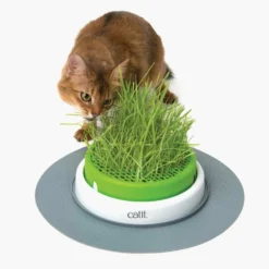 Catit Jardin D’herbe Senses 2.0 -Zooart Elegant Boutique fre pl Catit Jardin dherbe Senses 2 0 10359 3