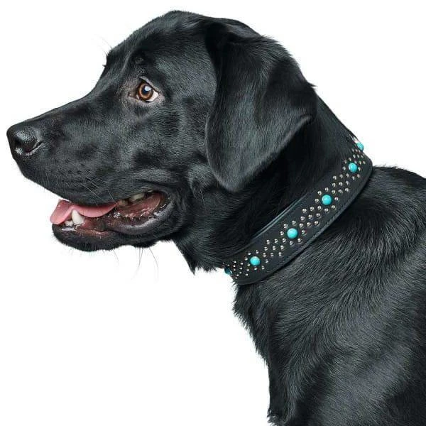 Collier De Chien Hunter Madona En Cuir L- 65 Cm 2 Collier De Chien Hunter Madona En Cuir L- 65 Cm – Image 2