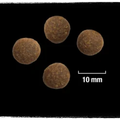 Crave Croquettes Pour Chien Agneau Et Boeuf 11.5kg -Zooart Elegant Boutique fre pl Crave Croquettes pour chien agneau et boeuf 11 5kg 23437 4