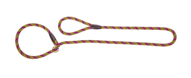 DINGO MAGIC - Laisse Pour Chien à Anneau Et à Clip Avec Cordon Jaune-rose 1 DINGO MAGIC - Laisse Pour Chien à Anneau Et à Clip Avec Cordon Jaune-rose