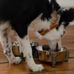 DINGO-set D'alimentation -2x1120 Ml -Zooart Elegant Boutique fre pl DINGO set dalimentation 2x1120 ml 29836 4