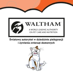 DREAMIES Friandise Au Poulet Pour Chat 180g 8 DREAMIES Friandise Au Poulet Pour Chat 180g -Zooart Elegant Boutique fre pl DREAMIES Friandise au poulet pour chat 180g 10099 3