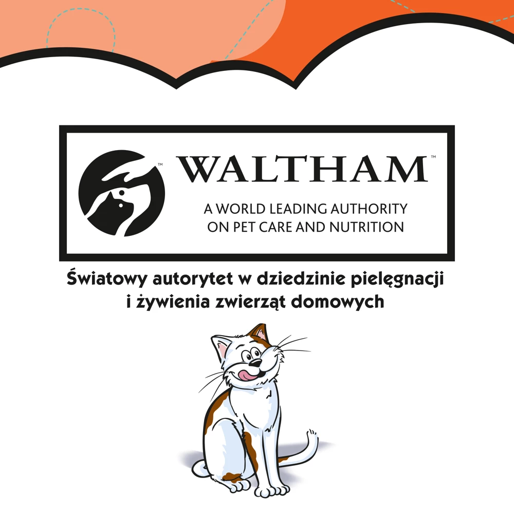 DREAMIES Friandise Au Poulet Pour Chat 180g 3 DREAMIES Friandise Au Poulet Pour Chat 180g – Image 3