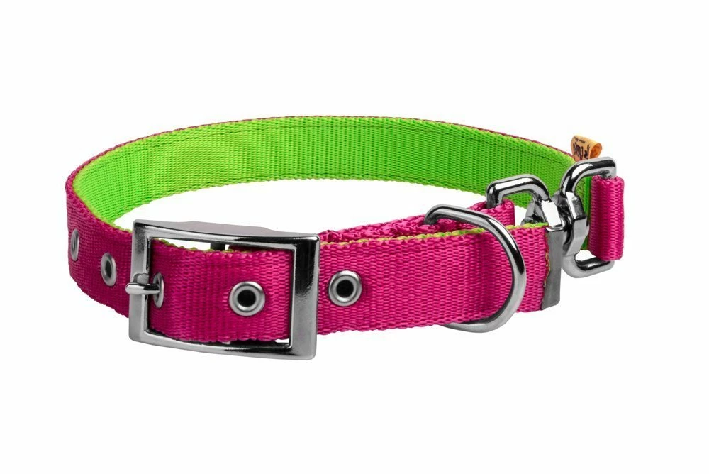 Dingo Collier En Sangle Double Face Pour Chiens Rose Et Vert 65cm 1 Dingo Collier En Sangle Double Face Pour Chiens Rose Et Vert 65cm