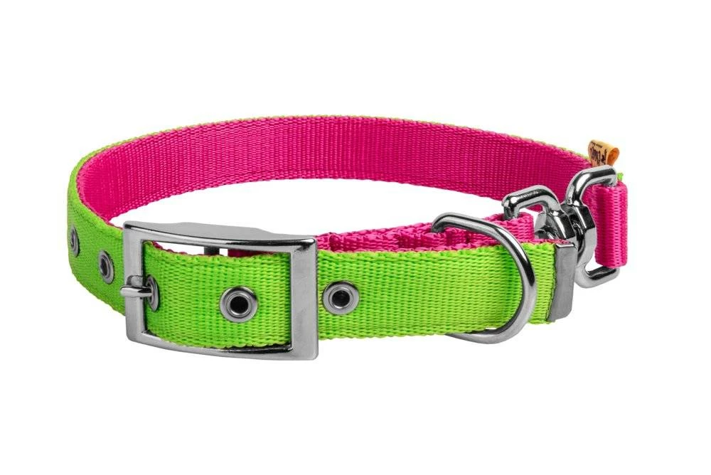 Dingo Collier En Sangle Double Face Pour Chiens Rose Et Vert 65cm 2 Dingo Collier En Sangle Double Face Pour Chiens Rose Et Vert 65cm – Image 2