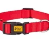 Dingo Collier Pour Chien Avec Fermoir En Plastique Rouge 55cm