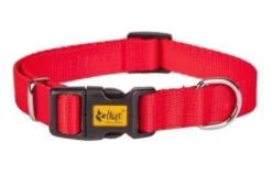 Dingo Collier Pour Chien Avec Fermoir En Plastique Rouge 55cm