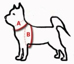 Dingo Harnais New York Pour Petit Chien Bleu Foncé 3 Dingo Harnais New York Pour Petit Chien Bleu Foncé – Image 3