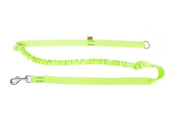 Dingo Laisse Avec Absorbeur De Chocs Et Poignée Vert 170cm 1 Dingo Laisse Avec Absorbeur De Chocs Et Poignée Vert 170cm