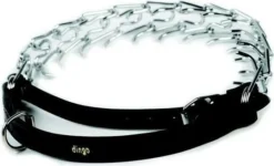 Dingo Pique Avec Poignée En Cuir Pour Chien Pointe Courte 52-65cm