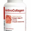 Dolfos ArthroCollagen 90 Comprimés