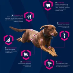 EUKANUBA Breed Specific Rottweiler 12kg + Surprise Gratuite Pour Votre Chien 10 EUKANUBA Breed Specific Rottweiler 12kg + Surprise Gratuite Pour Votre Chien -Zooart Elegant Boutique fre pl EUKANUBA Breed Specific Rottweiler 12kg Surprise gratuite pour votre chien 27334 5