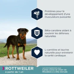 EUKANUBA Breed Specific Rottweiler 12kg+ Surprise Gratuite Pour Votre Chien 9 EUKANUBA Breed Specific Rottweiler 12kg+ Surprise Gratuite Pour Votre Chien -Zooart Elegant Boutique fre pl EUKANUBA Breed Specific Rottweiler 12kg Surprise gratuite pour votre chien 27363 4