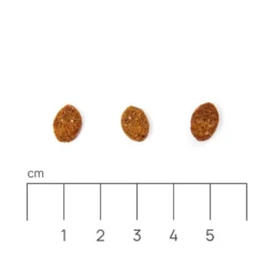 Eminent Cat Adult Poulet 32/14 10kg 8 Eminent Cat Adult Poulet 32/14 10kg -Zooart Elegant Boutique fre pl Eminent Cat Adult Poulet 32 14 10kg 26607 4