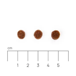 Eminent Puppy 30/17 15kg Aliments Secs Pour Chiots Et Chiennes Enceintes Et Allaitantes De Petites Et Moyennes Races 7 Eminent Puppy 30/17 15kg Aliments Secs Pour Chiots Et Chiennes Enceintes Et Allaitantes De Petites Et Moyennes Races -Zooart Elegant Boutique fre pl Eminent Puppy 30 17 15kg aliments secs pour chiots et chiennes enceintes et allaitantes de petites et moyennes races 25798 3