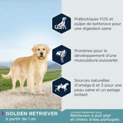 Eukanuba Adult Breed Specific Golden Retriever 12kg -Zooart Elegant Boutique fre pl Eukanuba Adult Breed Specific Golden Retriever 12kg 15277 5