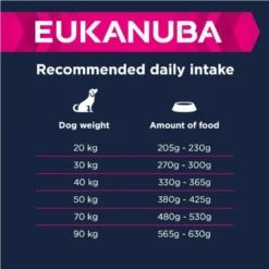 Eukanuba Adult Large Breed Agneau & Riz 12kg+ Surprise Gratuite Pour Votre Chien -Zooart Elegant Boutique fre pl Eukanuba Adult Large Breed Agneau Riz 12kg Surprise gratuite pour votre chien 27327 2