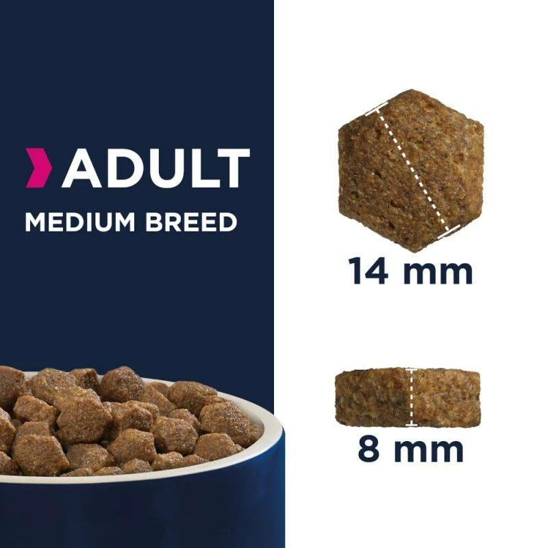 Eukanuba Adult Medium Breed Poulet 15kg+ Surprise Gratuite Pour Votre Chien 4 Eukanuba Adult Medium Breed Poulet 15kg+ Surprise Gratuite Pour Votre Chien – Image 4