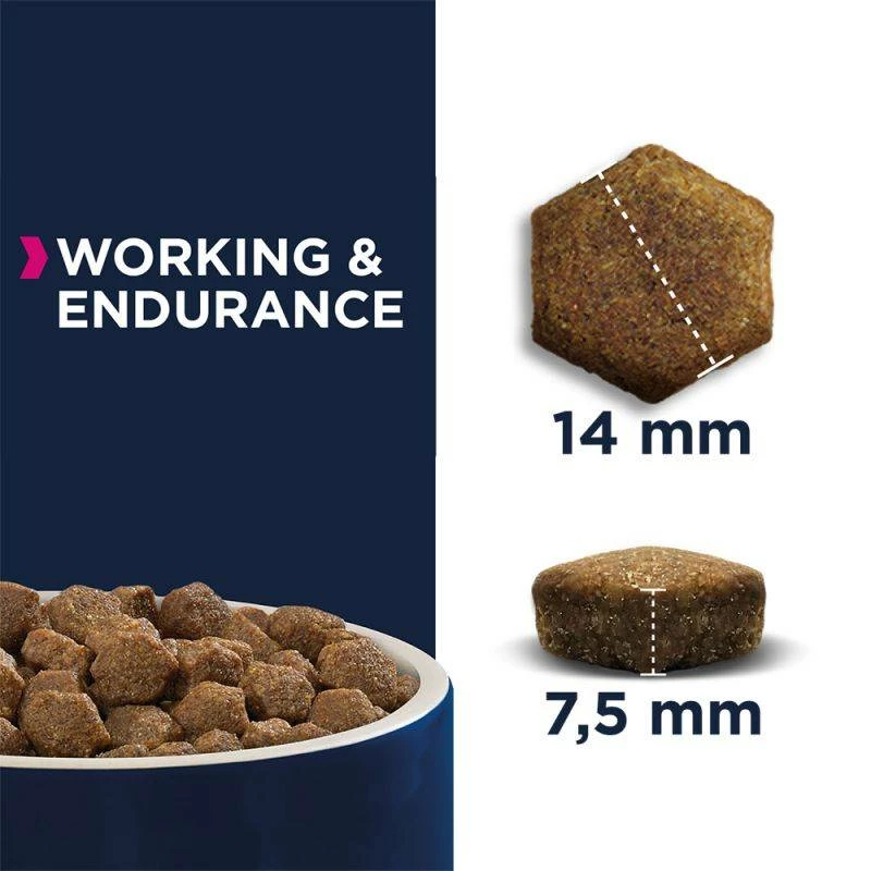 Eukanuba Daily Care Working & Endurance Adult 15kg+Surprise Gratuite Pour Votre Chien 2 Eukanuba Daily Care Working & Endurance Adult 15kg+Surprise Gratuite Pour Votre Chien – Image 2