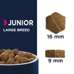 Eukanuba Puppy&Junior Large Breed 15kg+ Surprise Gratuite Pour Votre Chien -Zooart Elegant Boutique fre pl Eukanuba Puppy Junior Large Breed 15kg Surprise gratuite pour votre chien 27322 4