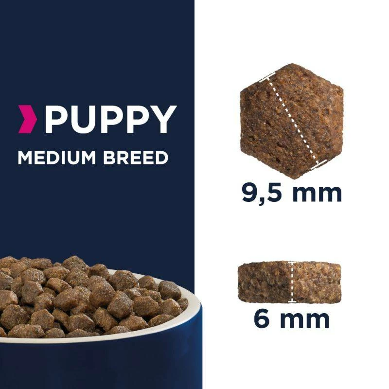 Eukanuba Puppy&Junior Medium Breed 15kg+Surprise Gratuite Pour Votre Chien 2 Eukanuba Puppy&Junior Medium Breed 15kg+Surprise Gratuite Pour Votre Chien – Image 2