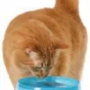 Fontaine à Eau Catit Design Fresh & Clear 2 L Pour Chat Et Petit Chien