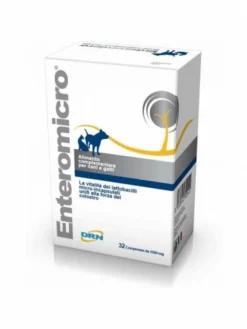 Geulincx Enteromicro 32pcs