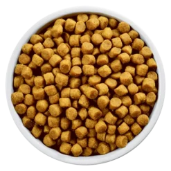 Hills HILL'S PD Prescription Diet Canine L/d Liver Care 10kg -Zooart Elegant Boutique fre pl HILLS PD Prescription Diet Canine L d Liver Care 10kg 26131 3