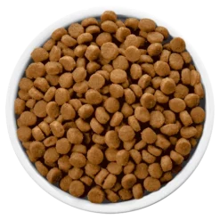 Hills Hill's PD Prescription Diet Canine C/d Urinary Care 12kg+ Surprise Pour Votre Chien GRATUITE ! -Zooart Elegant Boutique fre pl Hills PD Prescription Diet Canine c d Urinary Care 12kg surprise pour votre chien GRATUITE 25758 3