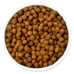 Hills Hill's PD Prescription Diet Canine I/d 12kg+ Surprise Pour Votre Chien GRATUITE ! -Zooart Elegant Boutique fre pl Hills PD Prescription Diet Canine i d 12kg Surprise pour votre chien GRATUITE 25759 3