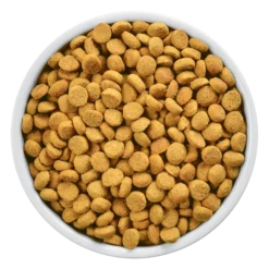 Hills Hill's PD Prescription Diet Feline R/d 1,5kg 7 Hills Hill's PD Prescription Diet Feline R/d 1,5kg -Zooart Elegant Boutique fre pl Hills PD Prescription Diet Feline r d 1 5kg 12918 4