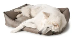 Hunter Bologna Panier Pour Chien Brun S -Zooart Elegant Boutique fre pl Hunter Bologna Panier pour chien brun S 16591 3