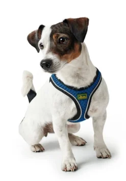 Hunter Hilo Comfort Harnais Pour Chien Bleu Marine Taille XXS -Zooart Elegant Boutique fre pl Hunter Hilo Comfort Harnais pour chien Bleu marine Taille XXS 16645 4