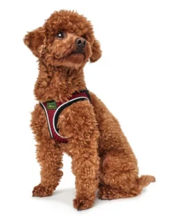 Hunter Hilo Comfort Harnais Pour Chien Rouge Taille M -Zooart Elegant Boutique fre pl Hunter Hilo Comfort Harnais pour chien rouge Taille M 16644 3