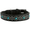 Hunter Madona Collier De Chien En Cuir M- 55 Cm
