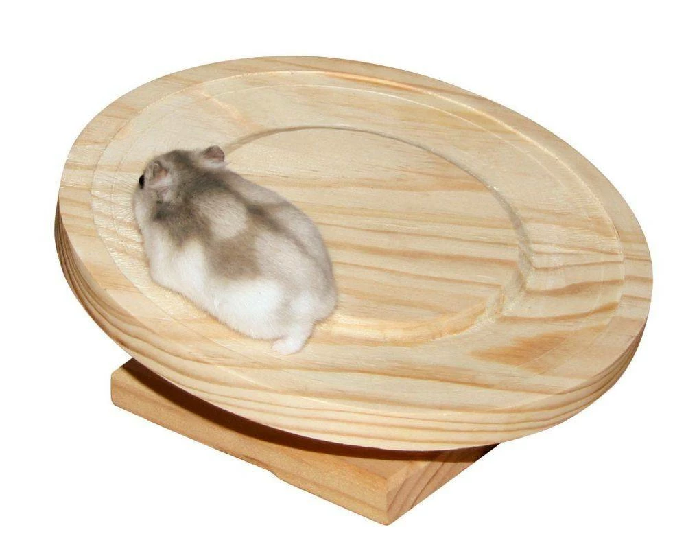 KERBL Eco Roue Pour Hamster 30 Cm 1 KERBL Eco Roue Pour Hamster 30 Cm