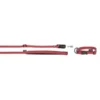 KERBL GoLeyGo 2.0 Ensemble Laisse + Collier Rouge Pour Chien 10mm X 29-45cm, S