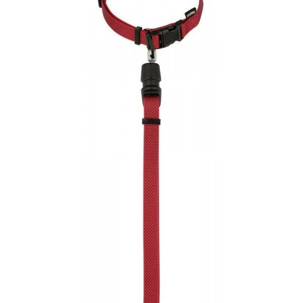 KERBL GoLeyGo 2.0 Ensemble Laisse + Collier Rouge Pour Chien 20mm X 40-65cm, M 3 KERBL GoLeyGo 2.0 Ensemble Laisse + Collier Rouge Pour Chien 20mm X 40-65cm, M – Image 3