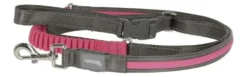 Dingo KERBL Laisse De Course Fluorescente Light & Reflex Rose 250cm